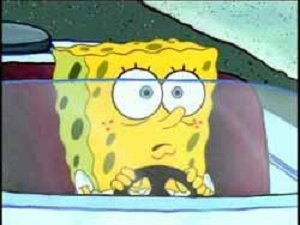 Download this Spongebob Driving picture Download this Spongebob Driving picture