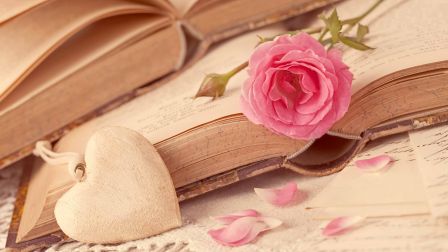 book and rose 