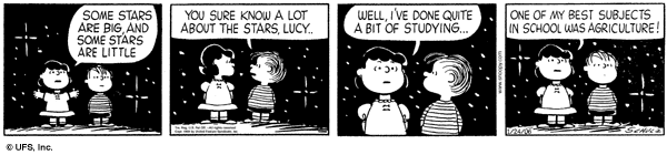 Lucy