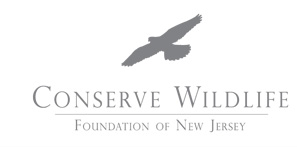 conservewildlifenj 