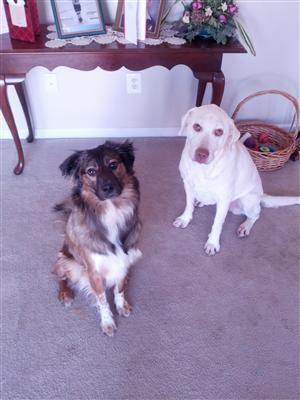 Maddie and Rouxie 
