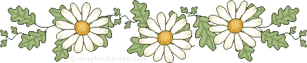 daisy