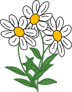 left daisy