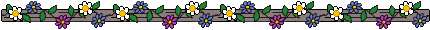 wildflower